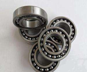 306TN/C3 Bearing Free Sample